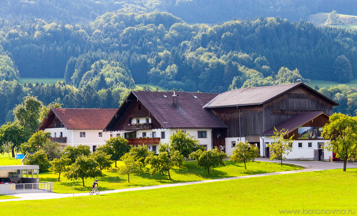 Mondsee